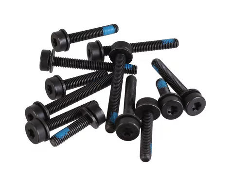 TORNILLO DE MONTAJE PLANO PARA LA RUEDA TRASERA 12pz MAGURA 2701601