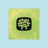 Saltt Varied de Frutas