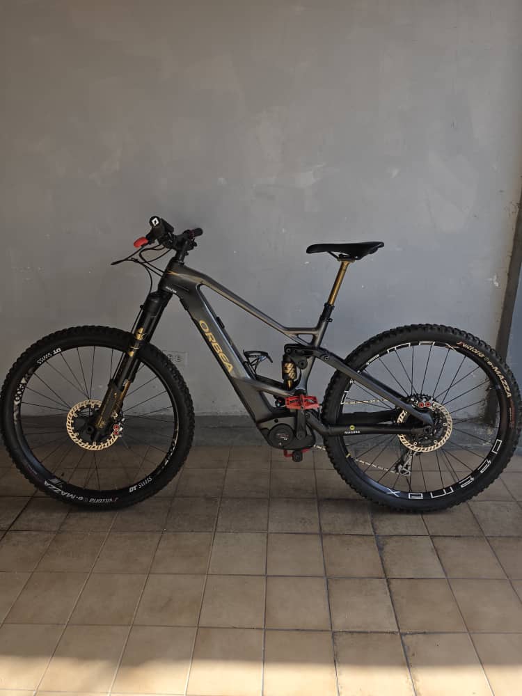 Orbea Wild Custom 2022 Talla L